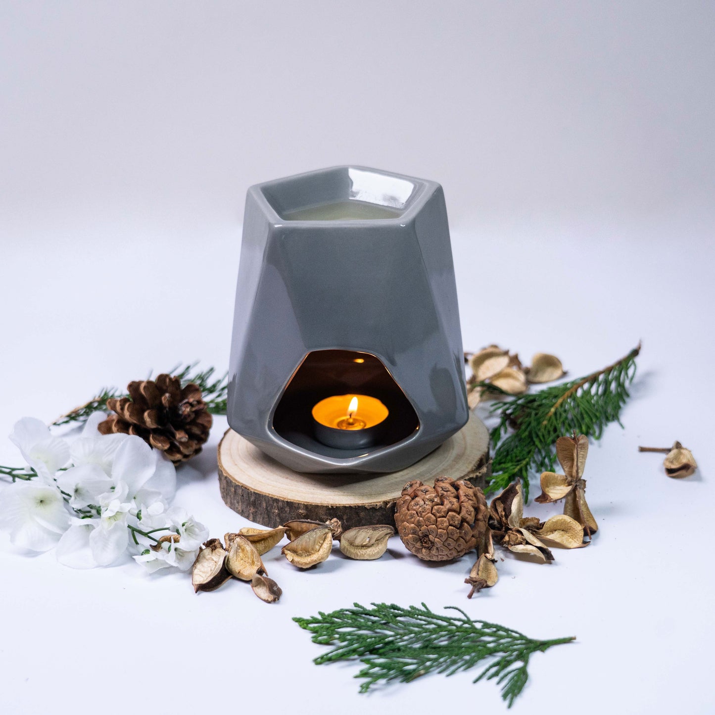 Rock Salt & Driftwood Wax Melt